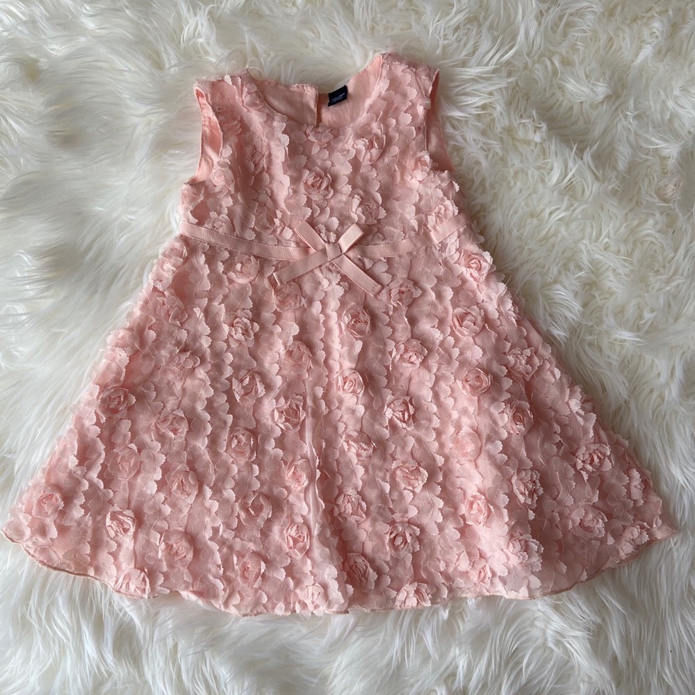 Gap Rose Dress 3T